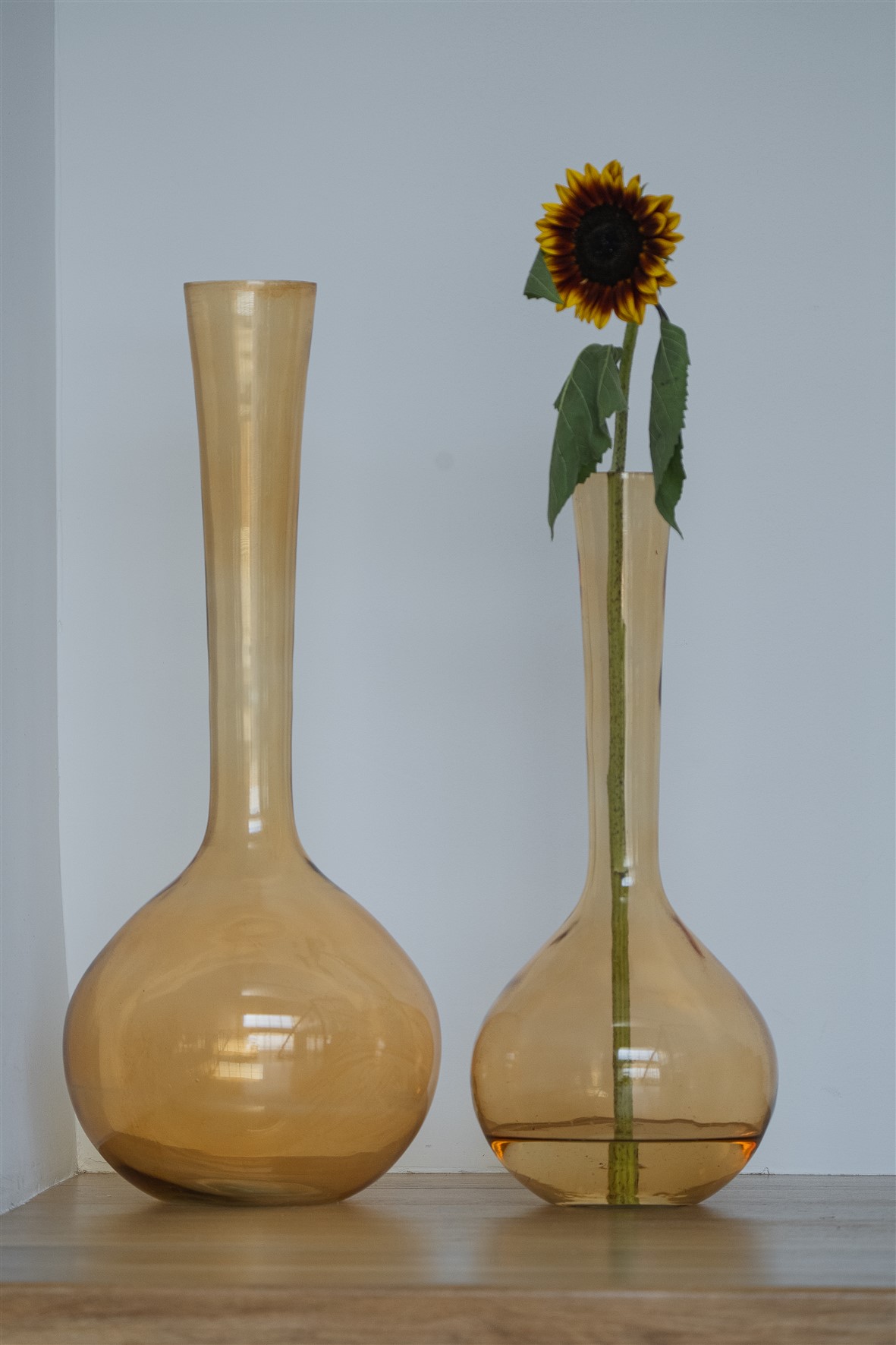 ואזה זכוכית TEST אמבר