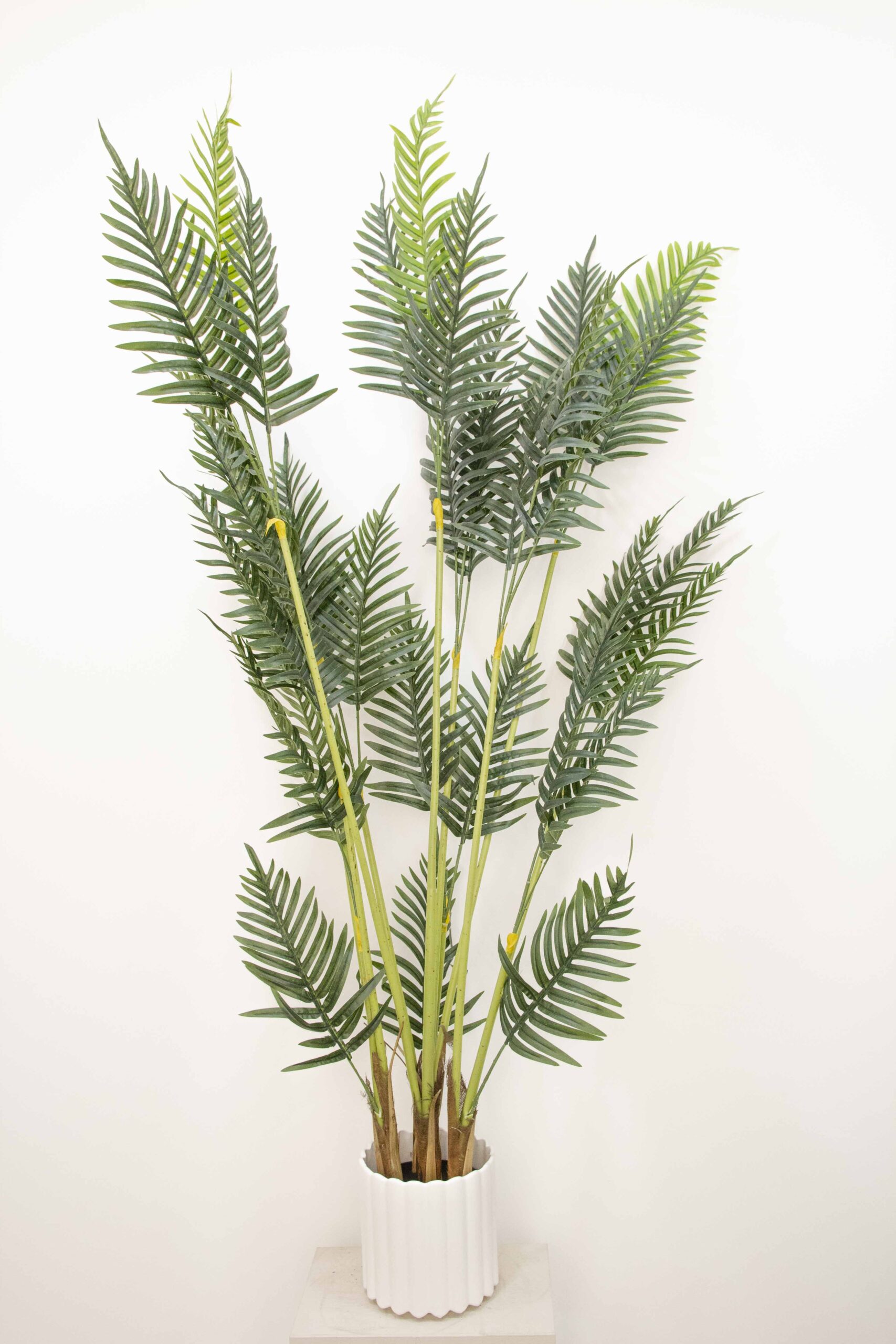 עציץ שרך מלאכותי עציץ שרך מלאכותי