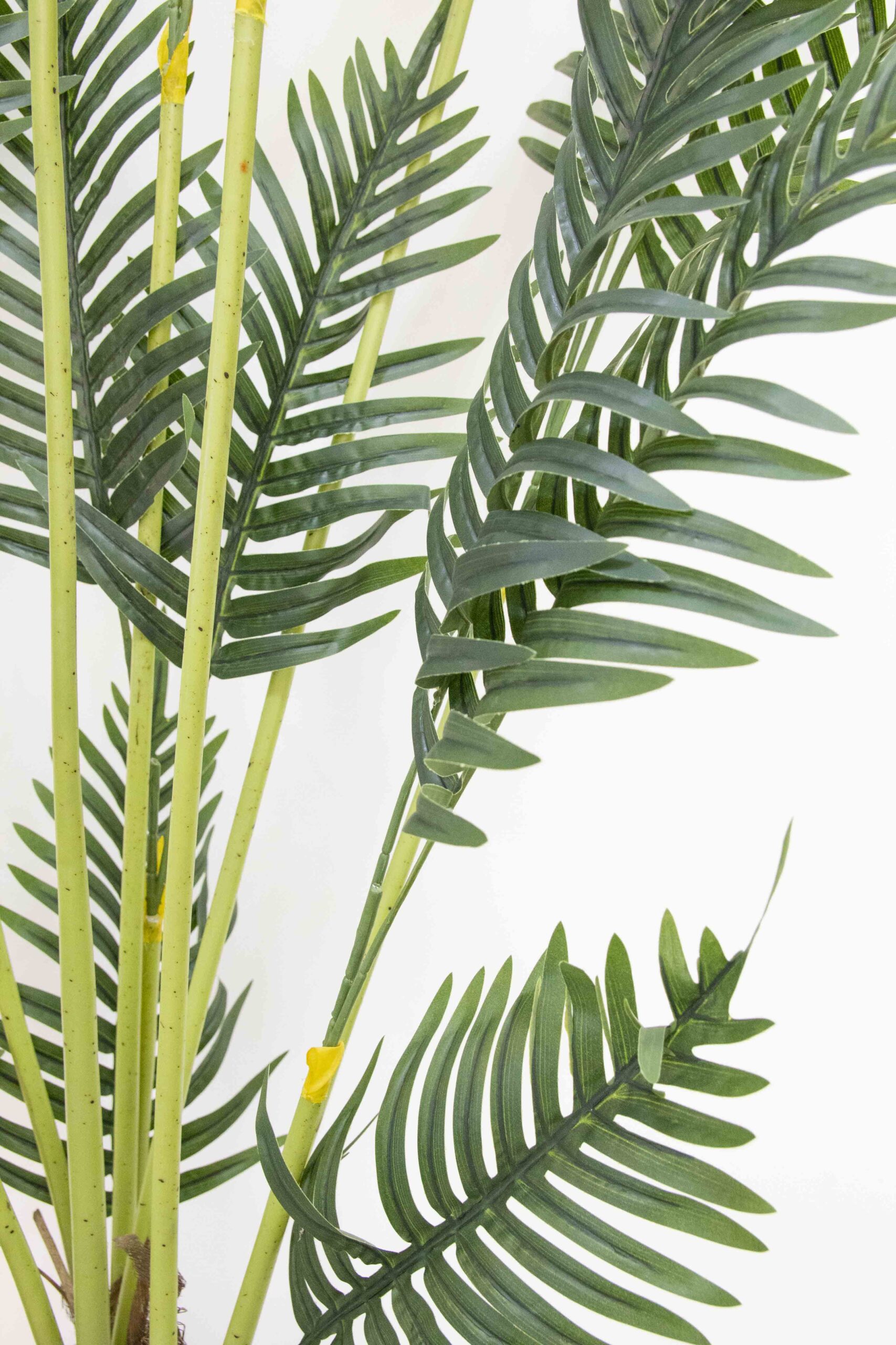 עציץ שרך מלאכותי עציץ שרך מלאכותי