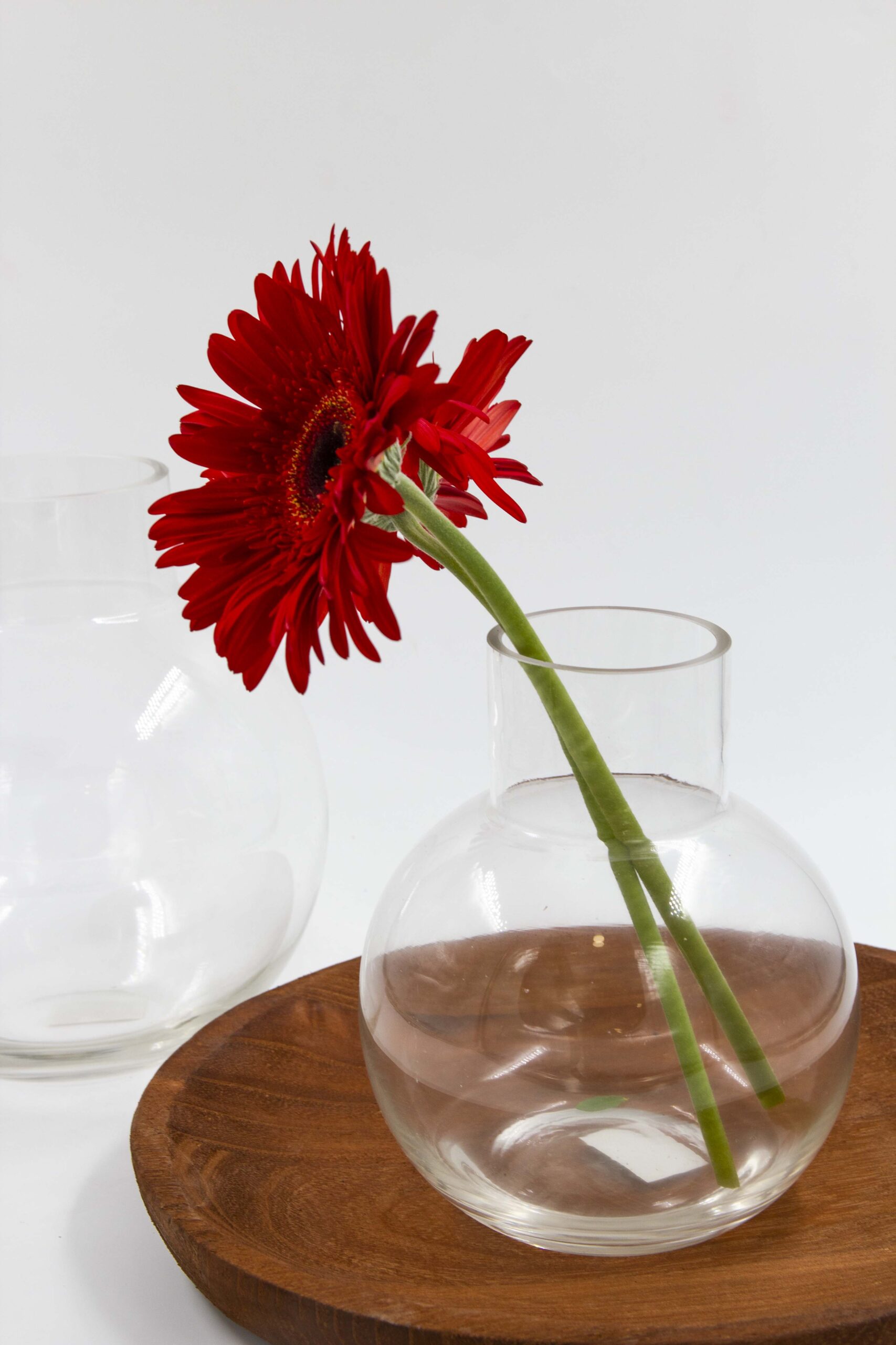 ואזה LIV שקוף