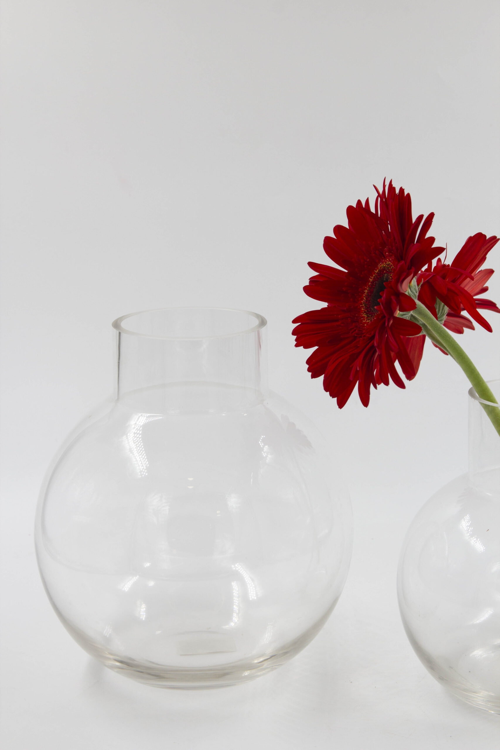 ואזה LIV שקוף