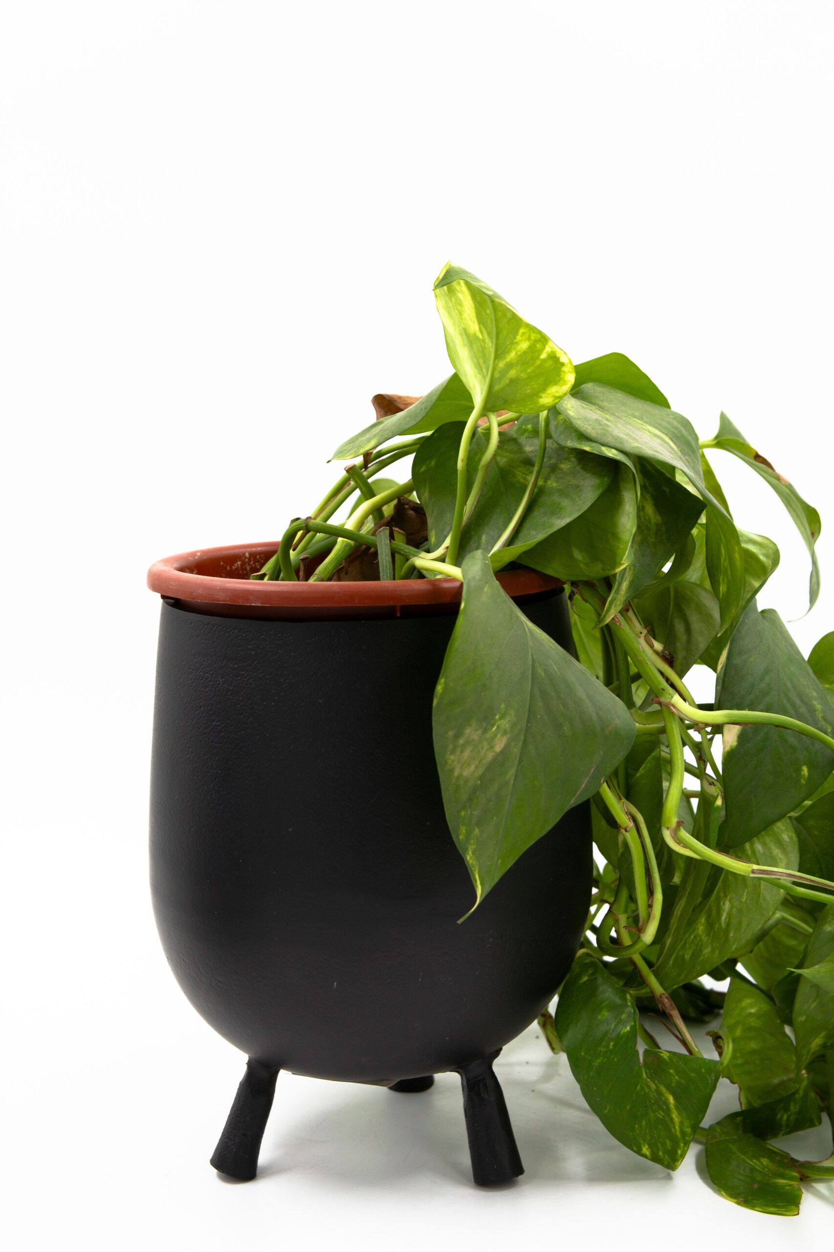 ואזה מתכת BALO שחור ואזה מתכת BALO שחור