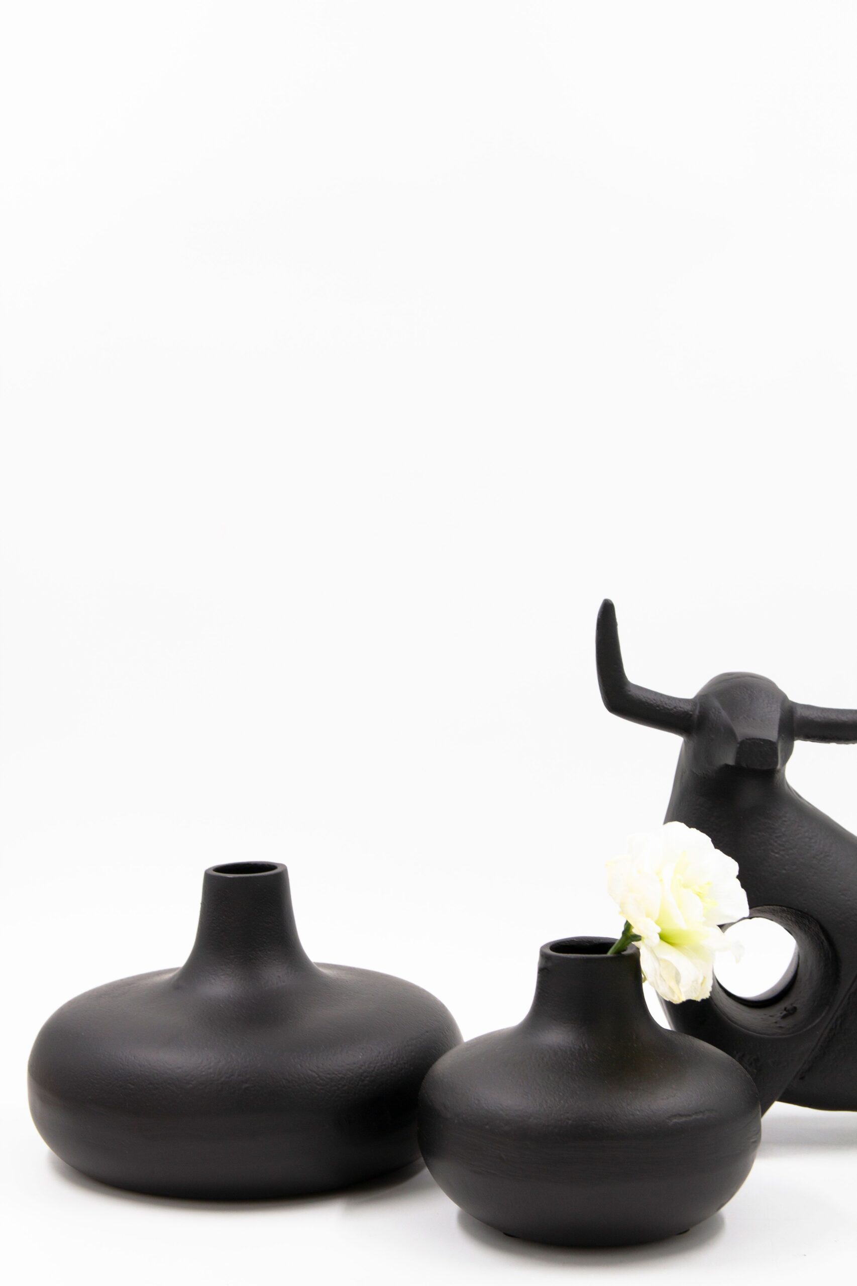 ואזה JIN שחור