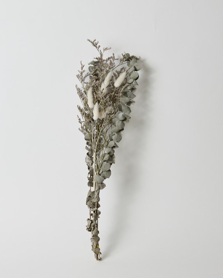 זר מיובש אקליפטוס וזנב ארנב זר מיובש אקליפטוס וזנב ארנב