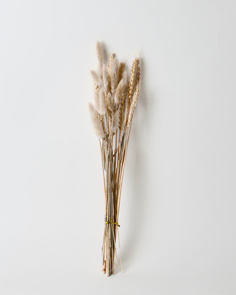 זר מיובש חיטה וזנב ארנב זר מיובש חיטה וזנב ארנב