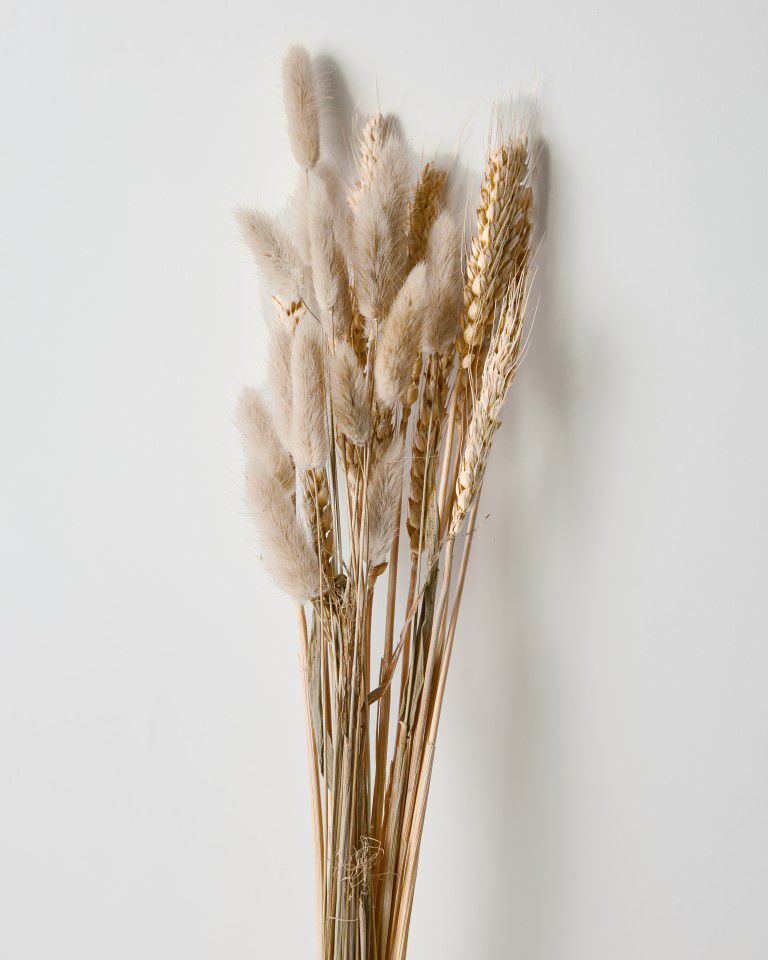 זר מיובש חיטה וזנב ארנב זר מיובש חיטה וזנב ארנב