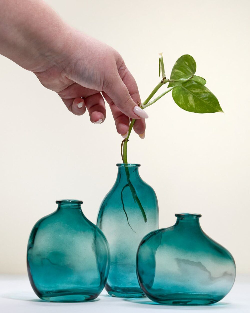 ואזה ואזה טוליפ ירוק