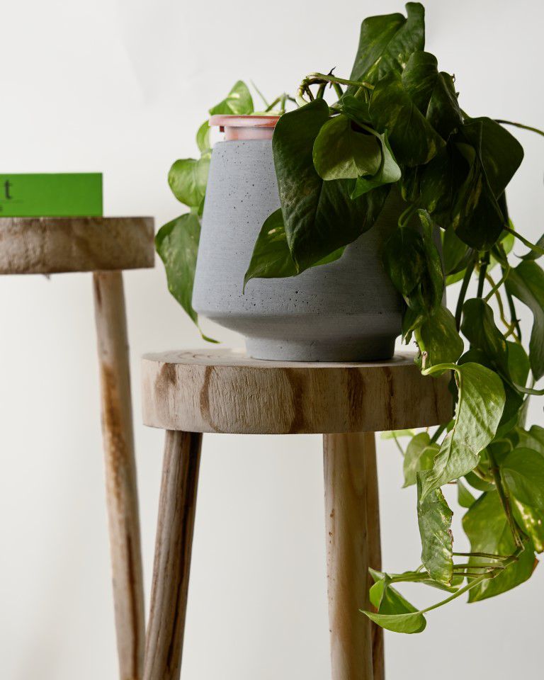 שרפרף עץ טבעי RAW שרפרף עץ טבעי RAW