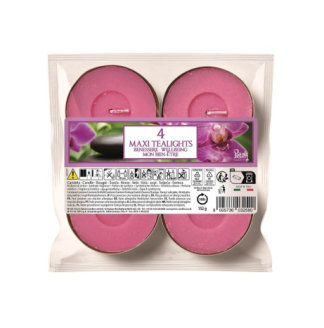 נר ג'מבו טילייט בריח סחלב