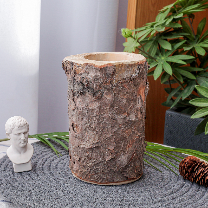 מעמד גזע עץ לנרות/ צמחייה מעמד גזע עץ לנרות/ צמחייה