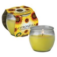 נר ציטרונלה בקופסא  25 שעות בעירה