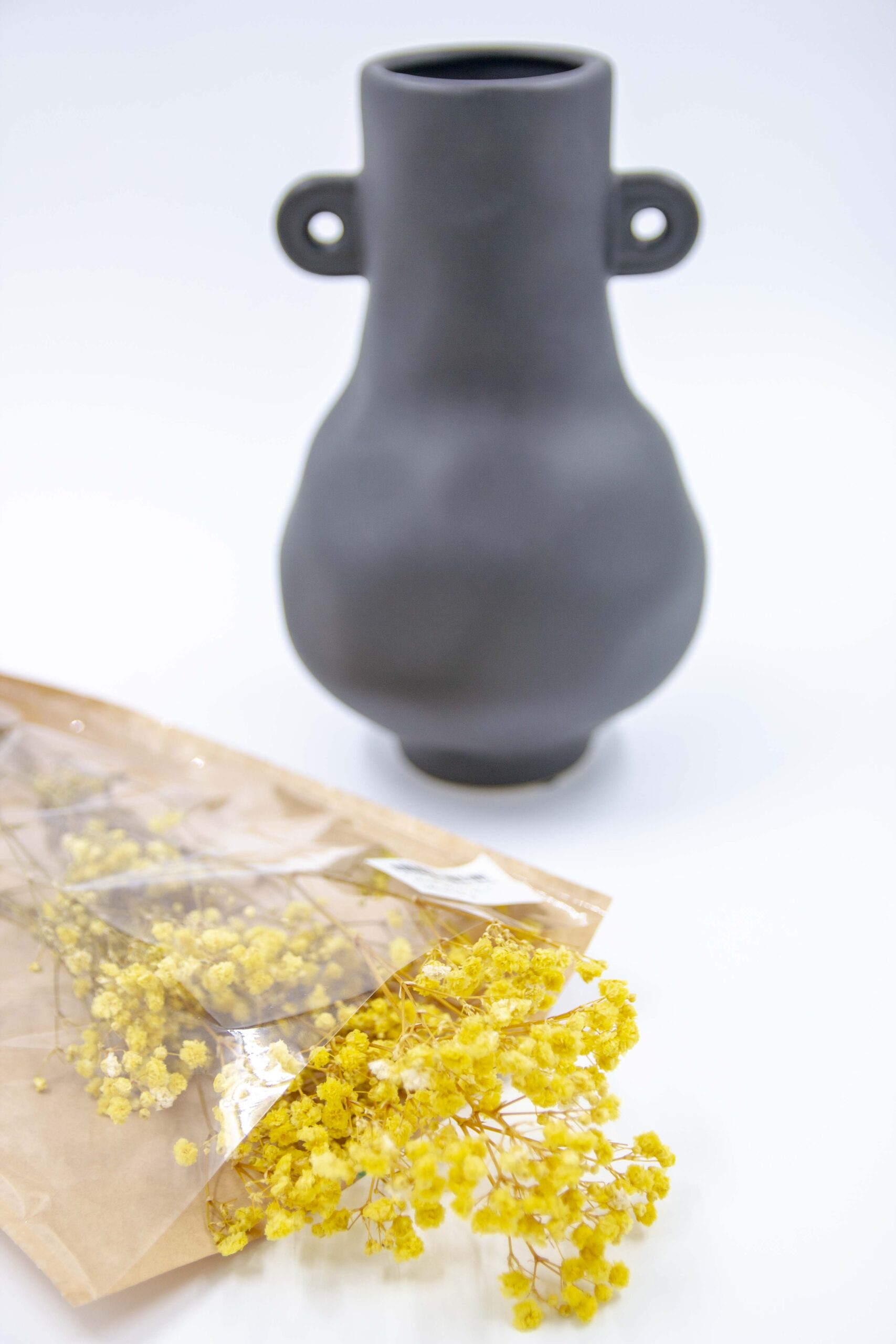 זר מיובש גיבסנית