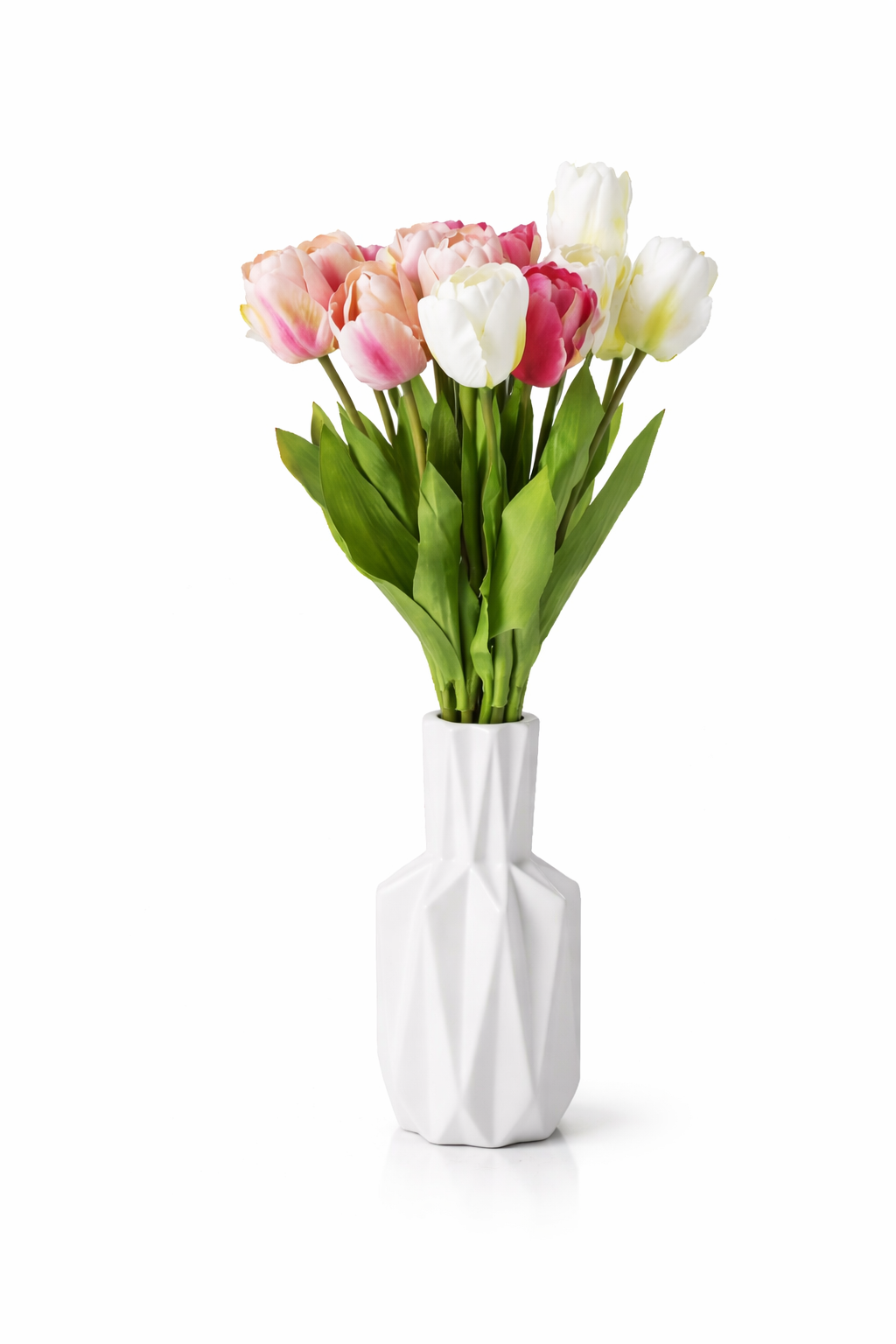 זר 6 פרחים טוליפ