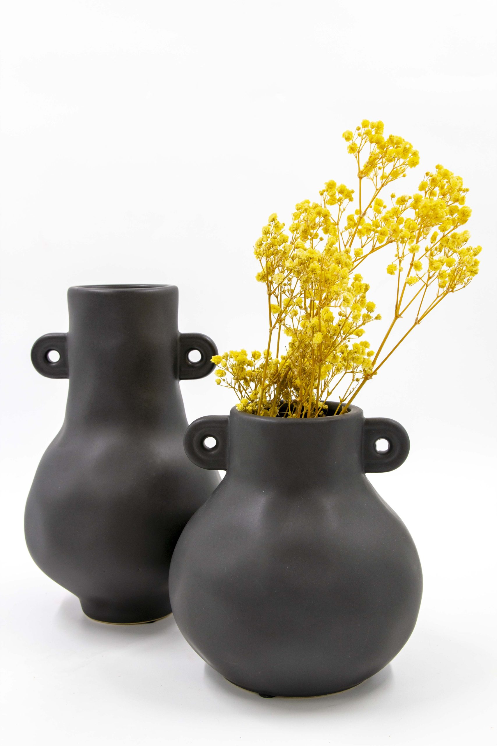 זר מיובש גיבסנית צהוב