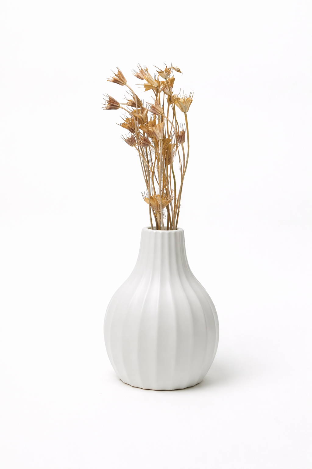 זר מיובש פרחי אניס