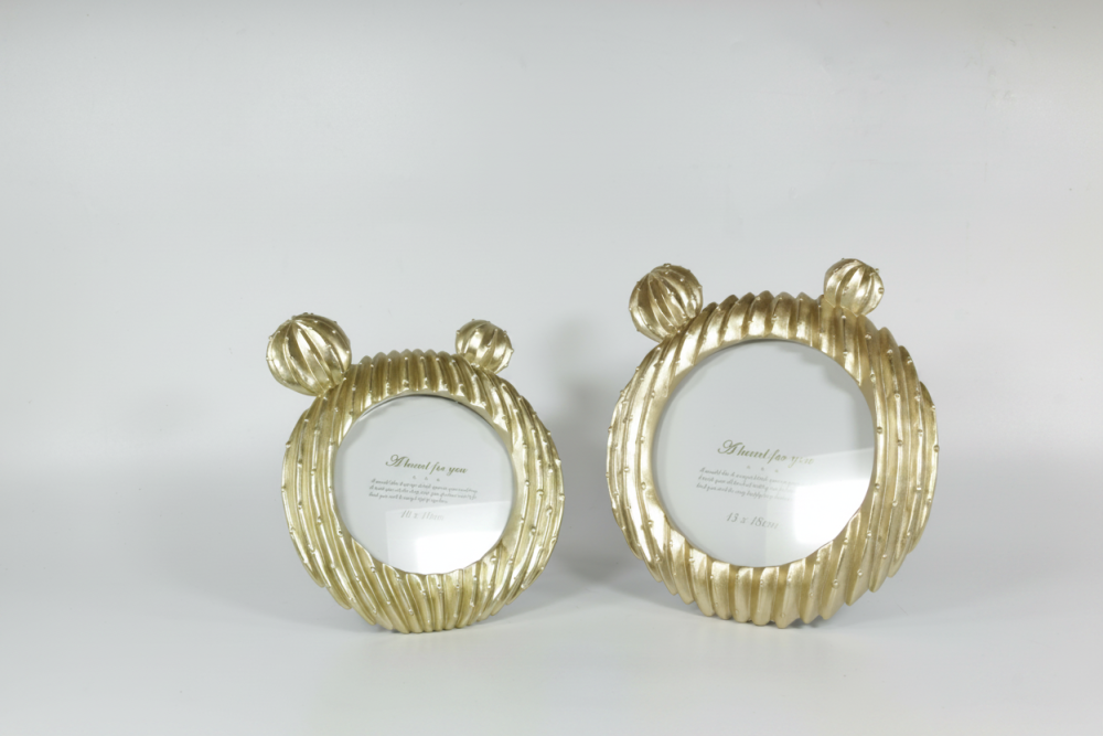 מסגרת קקטוס עגול