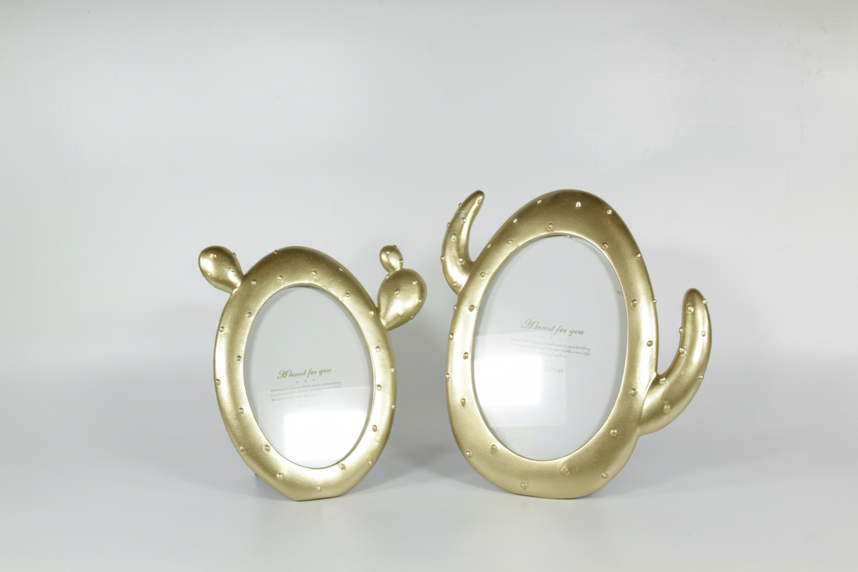 מסגרת קקטוס אובלי 17.5/16 סמ