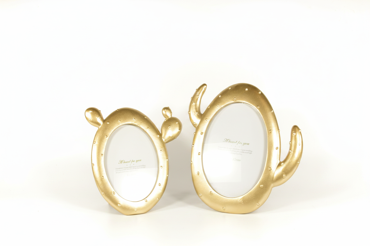 מסגרת קקטוס אובלי 18.5/20 סמ