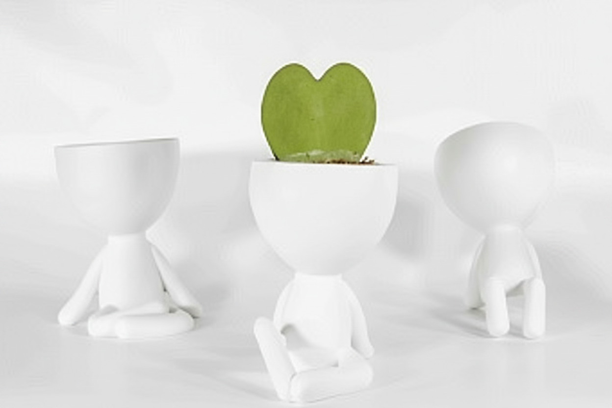 ראש גדול יושב על ספר 12*8*9