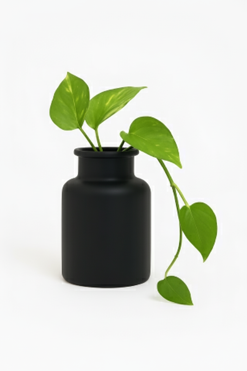 בקבוק זכוכית שחור מט 500 מל