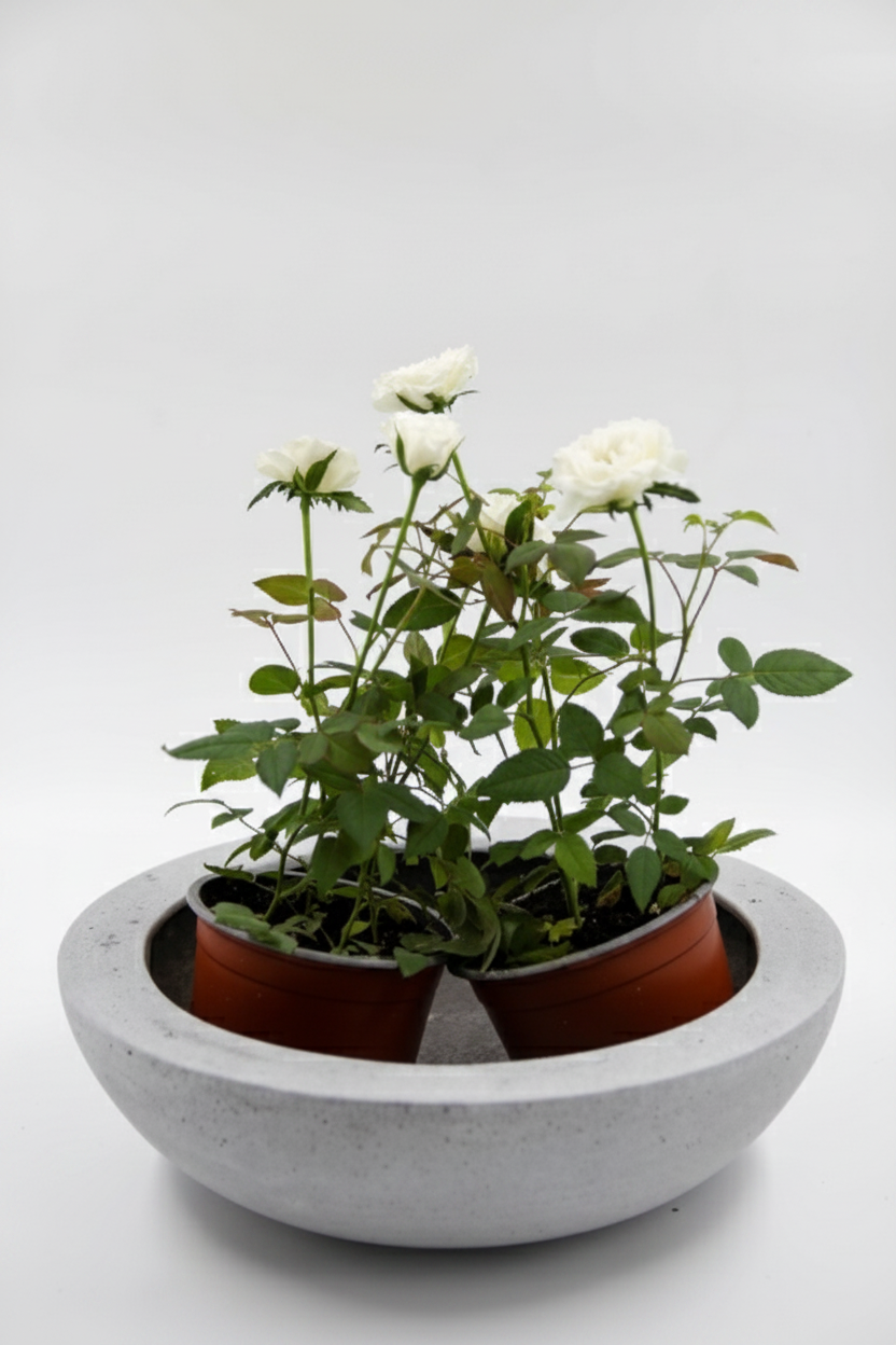 כד TERA בטון 10*32 ס"מ