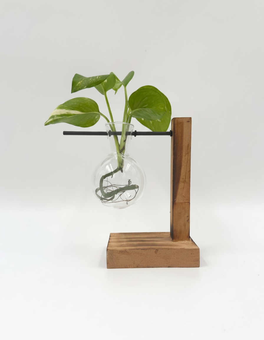 אגרטל הידרו תלוי 10 ס"מ