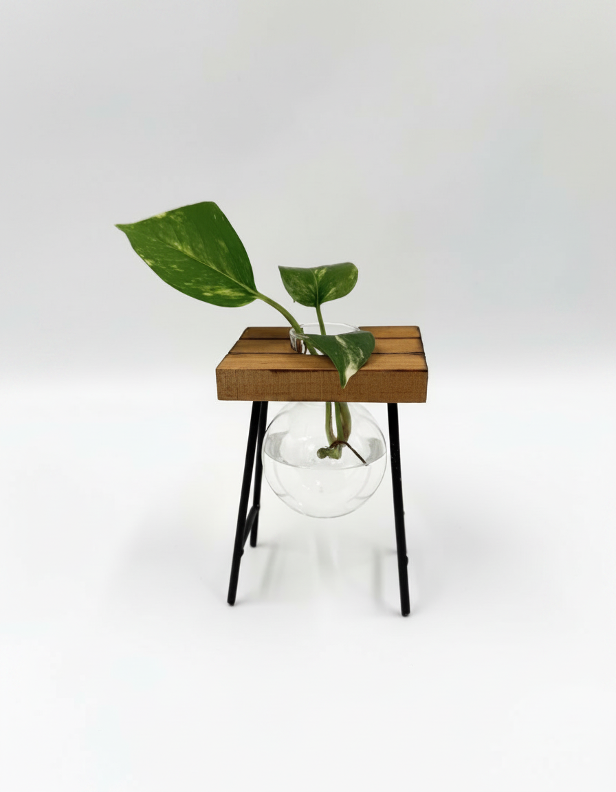 אגרטל הידרו שולחן 14 ס"מ