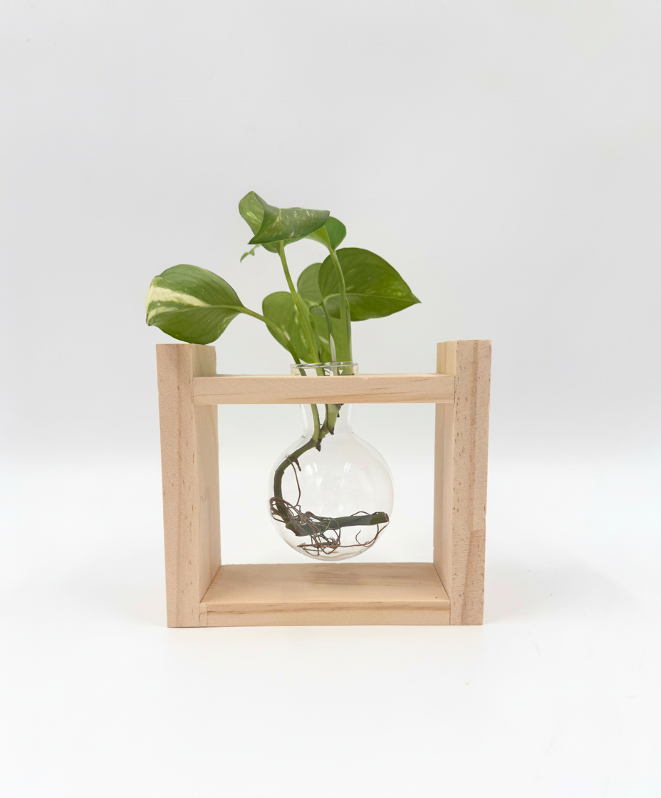 אגרטל הידרו תלוי 13 ס"מ